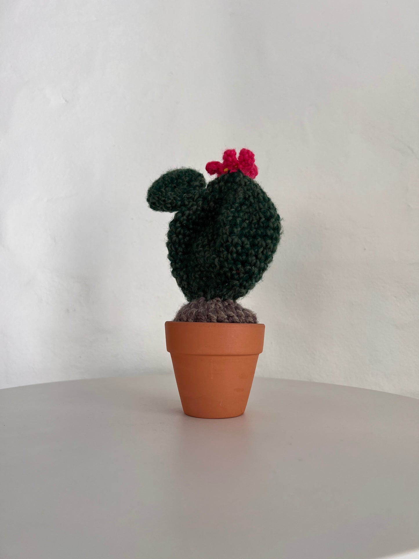 Crocheted Cactus