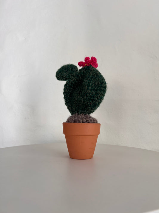 Crocheted Cactus